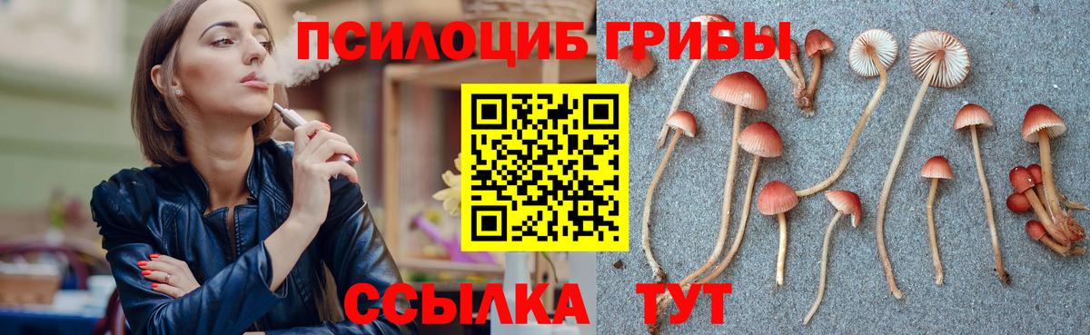Псилоцибиновые грибы Psilocybine cubensis  купить закладку  Люберцы  Вход с VPN  Галлюциногенные грибы ЛСД 