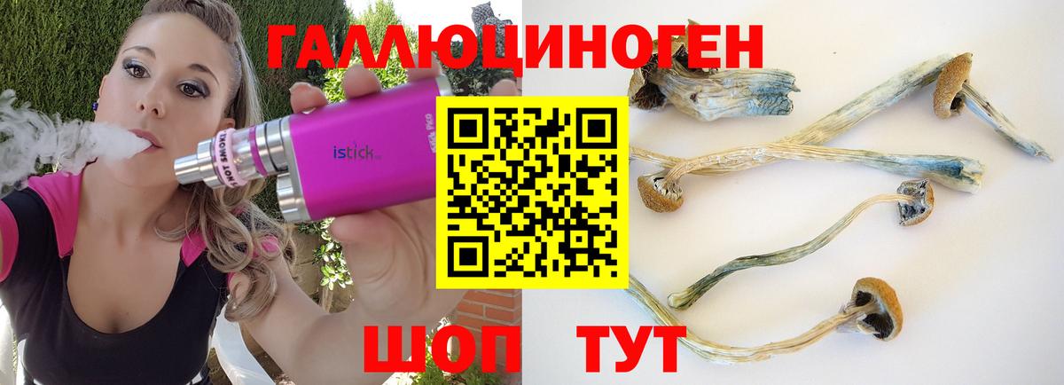 Галлюциногенные грибы GOLDEN TEACHER Люберцы