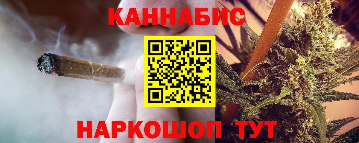 Бошки Шишки планчик Люберцы